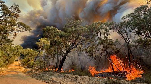 VICTORIAN BUSHFIRES: Little Desert fire - 3.2.25