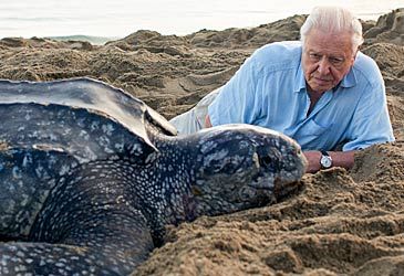 For which broadcaster did David Attenborough write Blue Planet II?