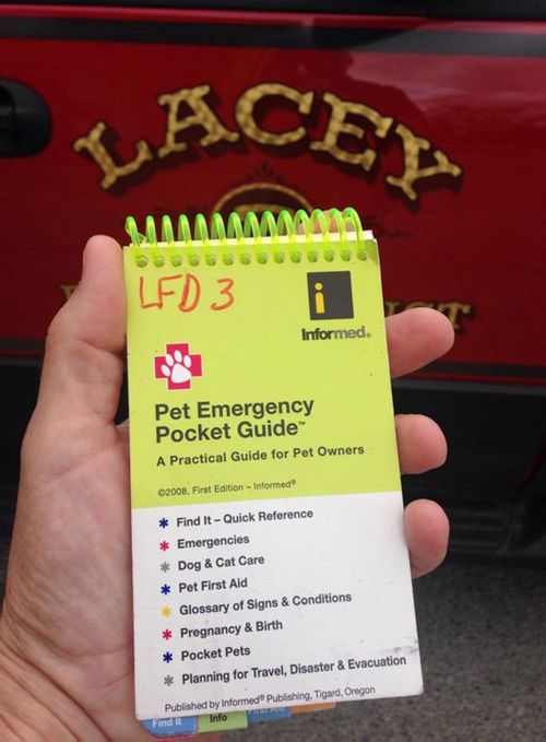 The department's "pet emergency pocket guide". (Lacey Fire Department/Twitter)