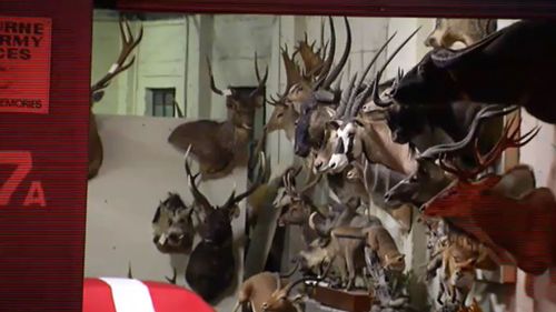 The factory was next door to a taxidermy factory. (9NEWS)