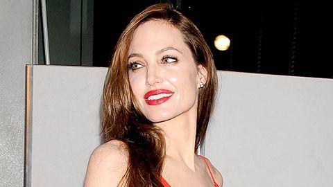 Angelina Jolie stole my movie idea, claims writer