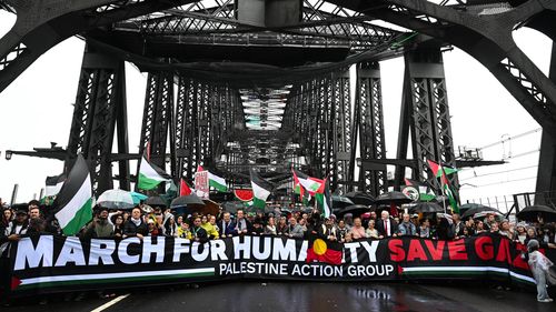 Pro-Palestine protesters march across the Sydney Harbour Bridge to bring attention to the ongoing Israel bombing and aid restrictions to Gaza. 3 August 2025 Photo: Janie Barrett
