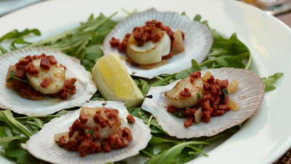 Grilled scallops on the shell with sucuk, coriander and lemon