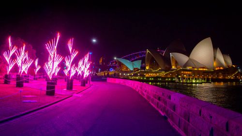 The Nautilus Forest overlooks the Sydney Opera House in the Royal Botanical Garden.  (Destination NSW) 