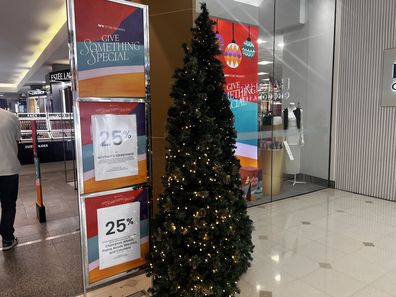 david jones and myer the future in australia