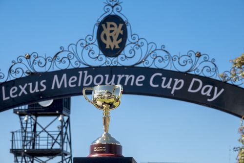 Horses involved in the Melbourne Cup are accused of being doped. (AAP)