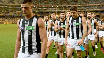 <strong>17. Collingwood Magpies</strong>