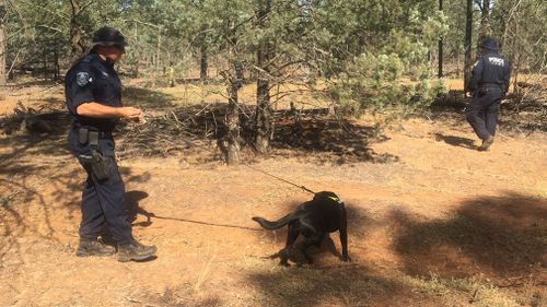 60 specialist officers are using cadaver dogs to comb over a 150m x 600m search area where they believe Allecha's body may be buried. Picture: 9NEWS/Grace Fitzgibbon.