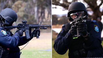 Tactical police unveil new military-style arsenal