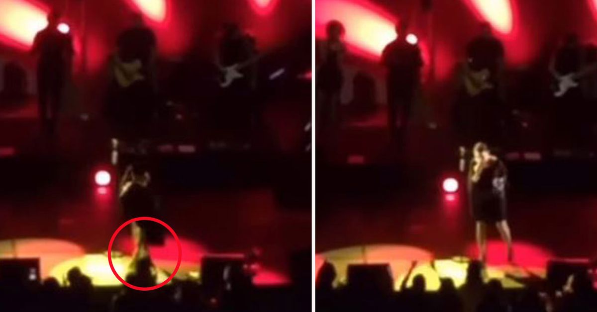 'Pick it up after the show': Tina Arena grabs fan's phone during concert