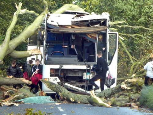 Storm Ali caused a tree to fall onto the vehicle in Kincaple, near Guardbridge in Fife.