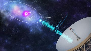 Artist&#x27;s impression of an orbital modulation model where the FRB progenitor (blue) is in an orbit with a companion astrophysical object (pink). Credit: Kristi Mickaliger