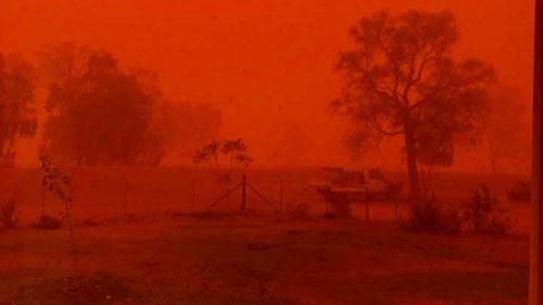 Bushfire haze from the Black Summer fires surrounded the farm in early 2020.