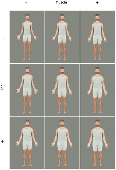 The most attractive male body-fat percentage: is it possible to be too  lean? — Foxhound Studio