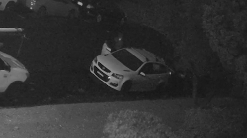 Dramatic CCTV released after car fire and public place shooting linked in Greenacre.