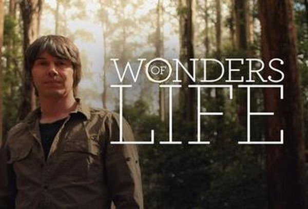 Wonders of Life