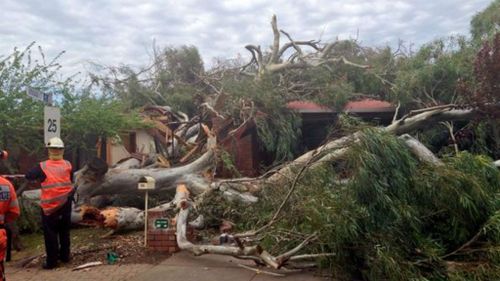 Gusts of up to 110 km/h to hit Adelaide as severe weather warning issued