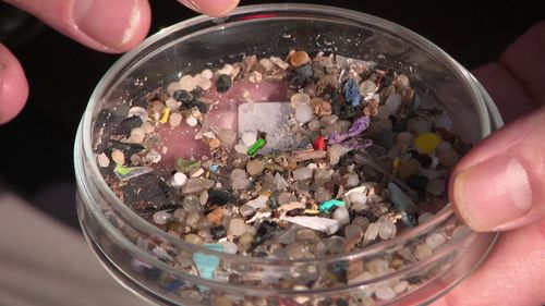 Microplastics, found in everything from our drink bottles to clothes, have been linked to colon and lung cancer, an international study has shown.