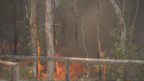 Moreton Island bushfire