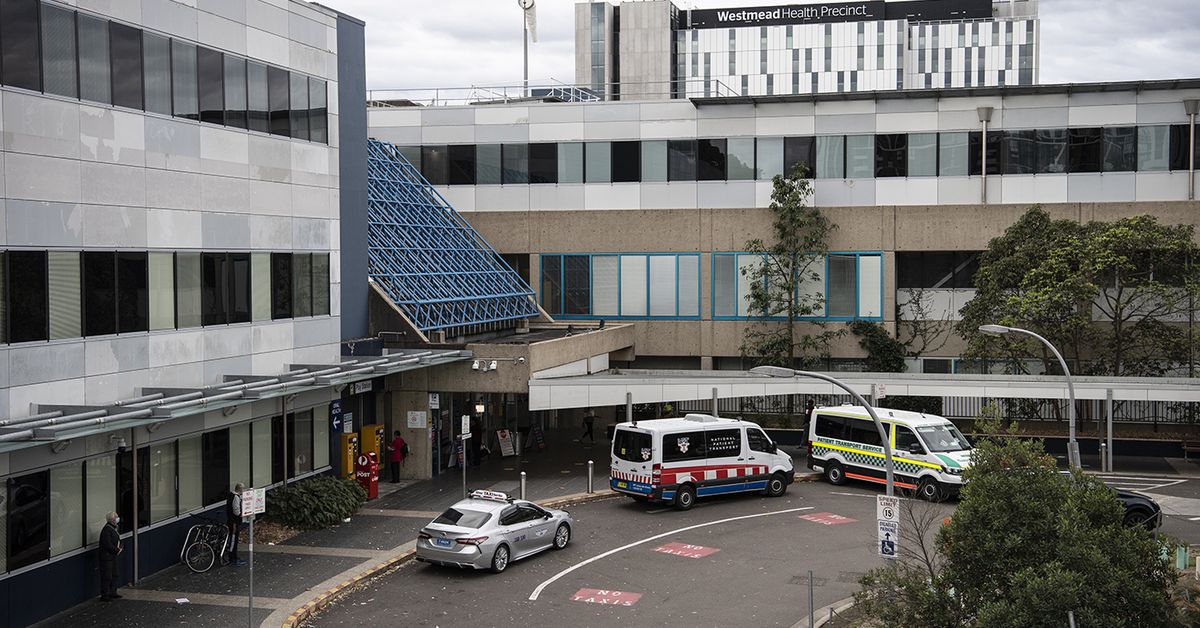 Man arrested for allegedly assaulting, stabbing staff at Sydney hospital