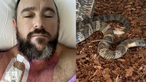  Queensland man Ben Avery was rushed to hospital after the snake bite.