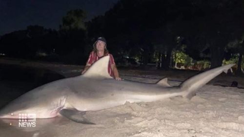A young fisherman claims to have caught a shark at the boat ramp about a kilometre away from where Stella Berry was attacked.