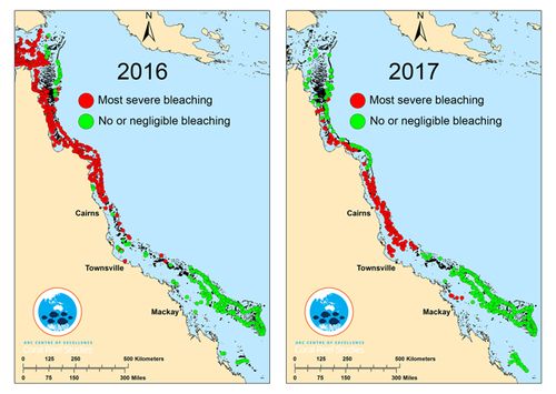 In 2016, bleaching was most severe in the northern third of the Reef, while one year on, the middle third has experienced the most intense coral bleaching. (Graphic: ARC Centre of Excellence for Coral Reef Studies)