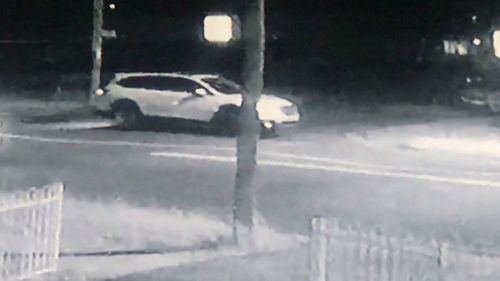 Cambridge Park carjacking