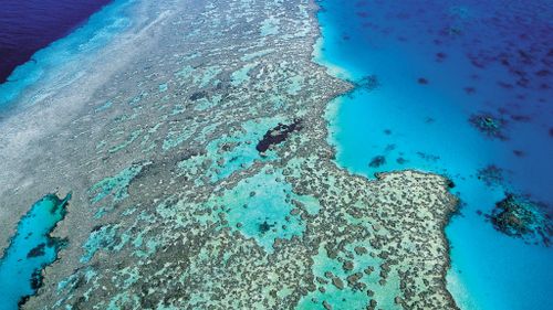 The reef was also recently affected by Cyclone Debbie.