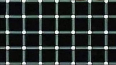 Grid Illusion