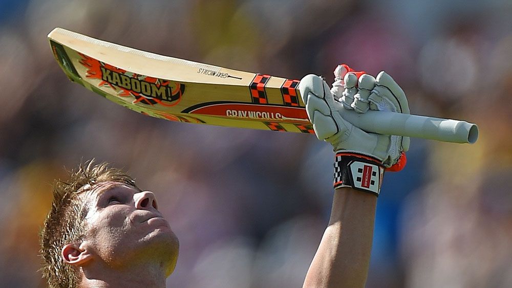 David Warner's bat has one of the largest profiles in international cricket. (AFP)