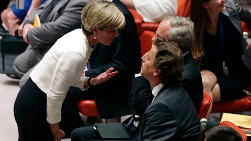 Australian foreign minister Julie Bishop speaks with Albert Koenders, the Netherlands' foreign minister, before the UN Security Council voted on a MH17 criminal tribunal. (AAP)