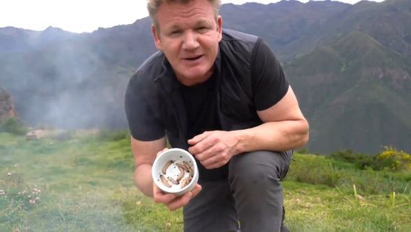 Controversial chef Gordon Ramsay under fire for eating 'delicious' guinea  pigs - 9Celebrity