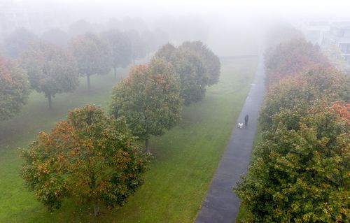 A man walks his dog in a park in Frankfurt, Germany, on a foggy Thursday, Oct. 19, 2023. 