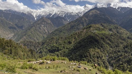 Violent brawl erupts between soldiers in the Himalayas