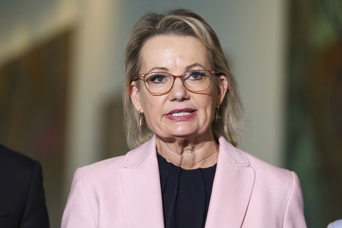 Opposition leader Sussan Ley during a press conference at Parliament House in Canberra on Wednesday 3 September 2025. fedpol Photo: Alex Ellinghausen