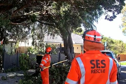 Victorians have been urged to stay safe and remain home as the state braces for more wild winds and damaging weather.