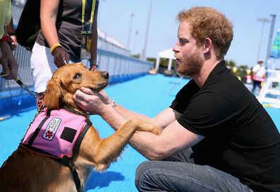 Prince Harry with dog