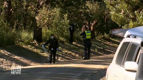 Police at the scene in Hedley.