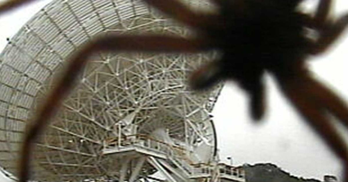 www.9news.com.au