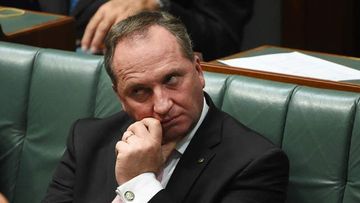 Maverick National and noted maker-of-threats-to-celebrity-dogs Barnaby Joyce reckons the 'world has gone mad'. (AAP)