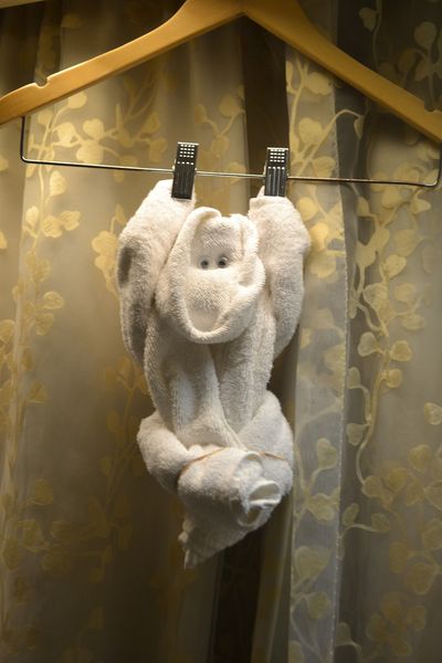 There were also towel monkeys.