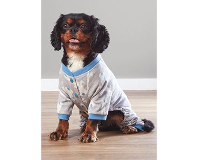 Aldi's dog pyjamas