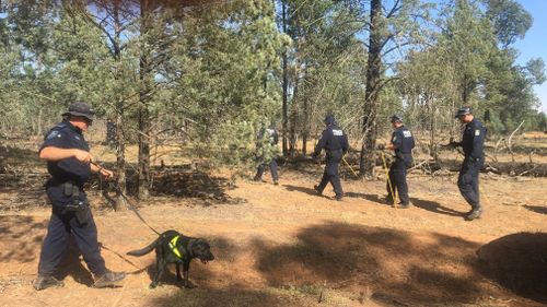 Today, a large-scale police search is underway in the Lester State Forest, north of Wagga Wagga, to try and uncover Allecha's body and "bring her home". Picture: 9NEWS/Grace Fitzgibbon.