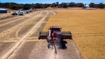 Agriculture