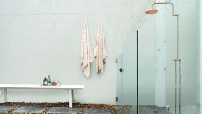 Lifestyle outdoor shower Sydney design property Domain