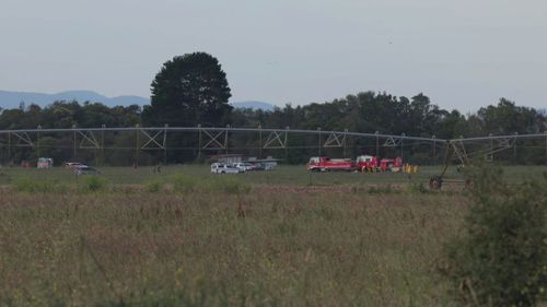 Three people have been killed after a small plane crashed into a paddock in Victoria's ﻿east