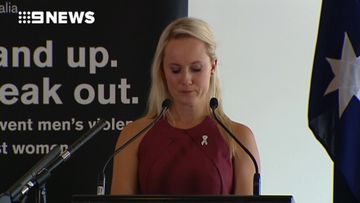  NSW domestic violence initiative 'guessing' who is at risk