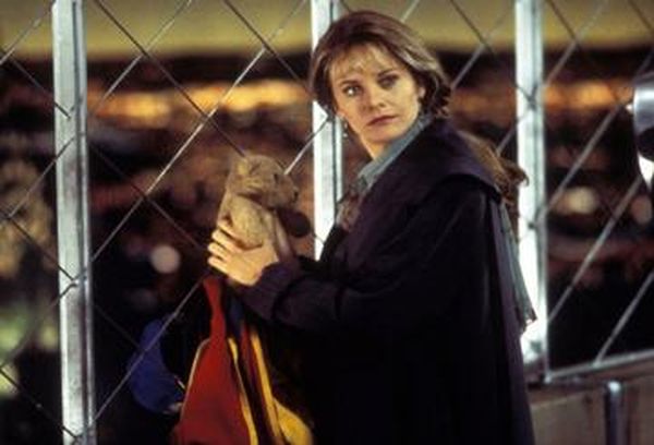 Sleepless in Seattle