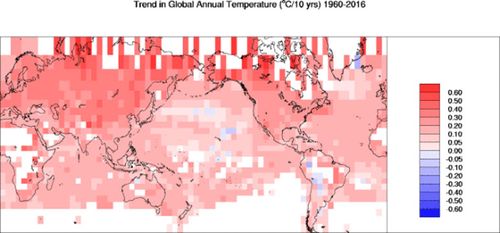 A Bureau of Meteorology map showing temperature trends, with red and pink representing areas getting warmer, and blue representing areas getting cooler. (Bureau of Meteorology)